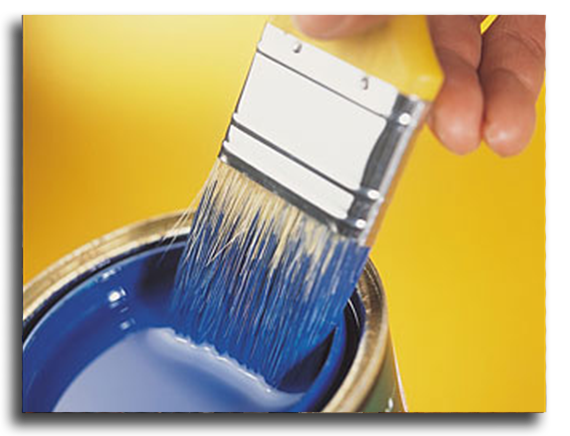 Painting Services in Bronx, NY
